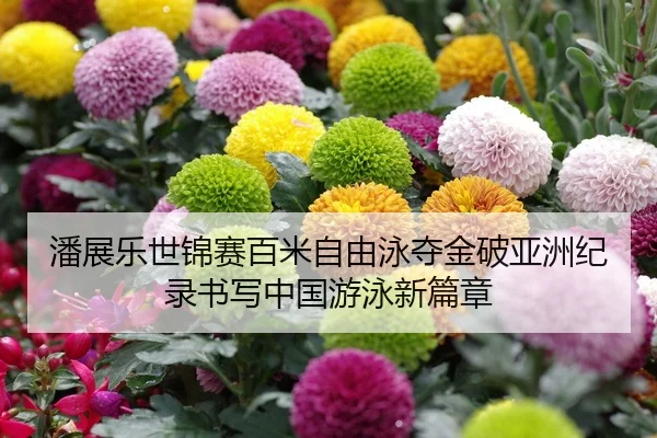 潘展乐世锦赛百米自由泳夺金破亚洲纪录书写中国游泳新篇章